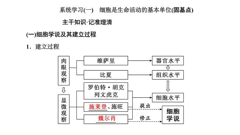 2025届高三生物一轮复习课件（江苏地区）专题复习 ：必修1 第一单元  第1讲  走近细胞第5页