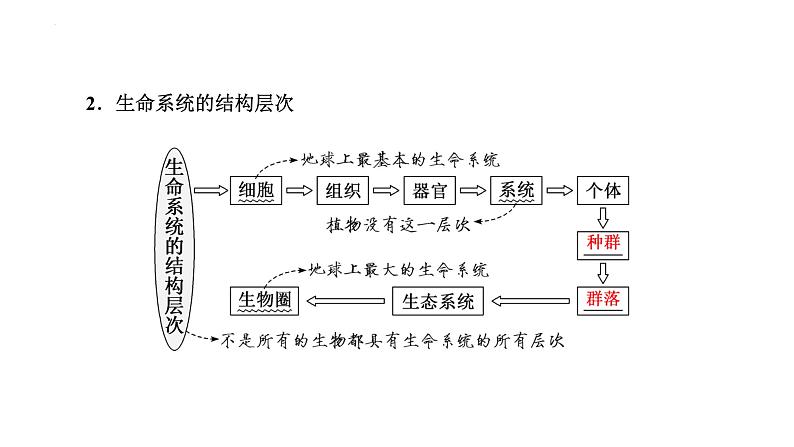 2025届高三生物一轮复习课件（江苏地区）专题复习 ：必修1 第一单元  第1讲  走近细胞第8页