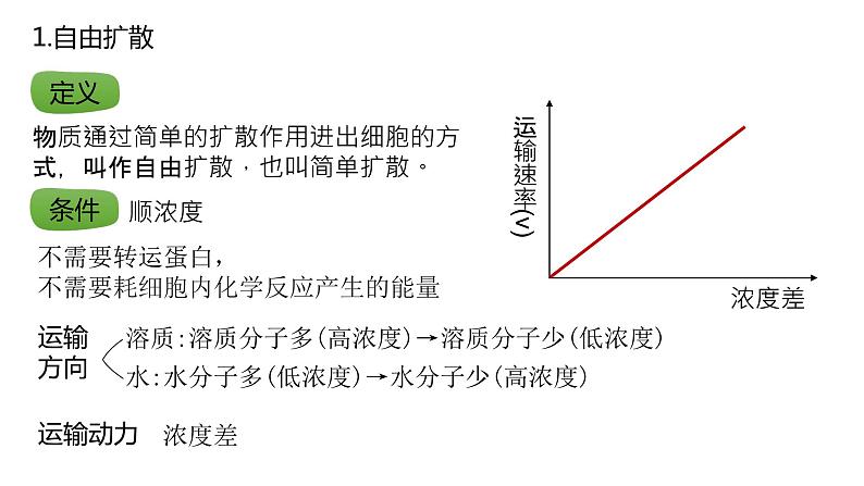 2025届高三生物一轮复习课件17：物质进出细胞的方式（第1课时）第3页