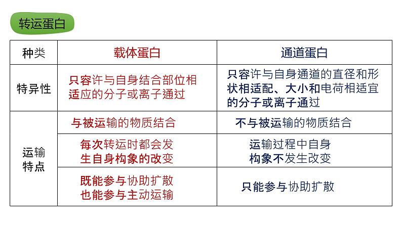 2025届高三生物一轮复习课件17：物质进出细胞的方式（第1课时）第7页