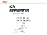 2025届高三生物一轮复习课件23：细胞呼吸的原理和应用（第1课时）