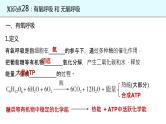 2025届高三生物一轮复习课件23：细胞呼吸的原理和应用（第1课时）