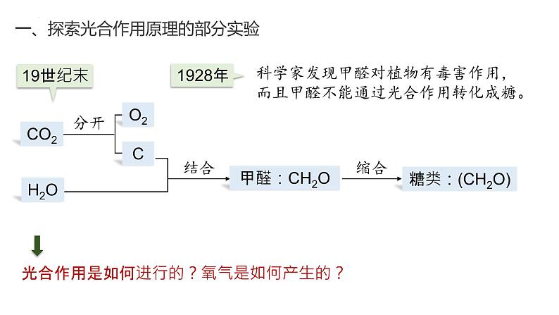 2025届高三生物一轮复习课件27：光合作用与能量转化（第2课时）第3页