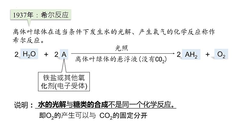 2025届高三生物一轮复习课件27：光合作用与能量转化（第2课时）第4页