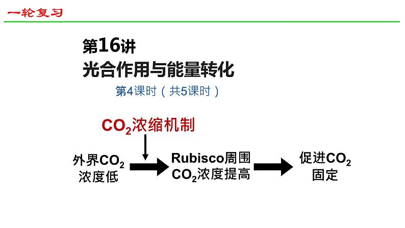 2025届高三生物一轮复习课件28：光合作用与能量转化（第4课时）第1页