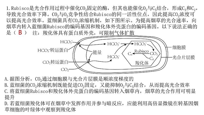 2025届高三生物一轮复习课件28：光合作用与能量转化（第4课时）第6页