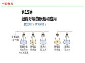 2025届高三生物一轮深度复习课件24：细胞呼吸的原理和应用（第2课时）
