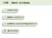 2025届高三生物一轮深度复习课件24：细胞呼吸的原理和应用（第2课时）