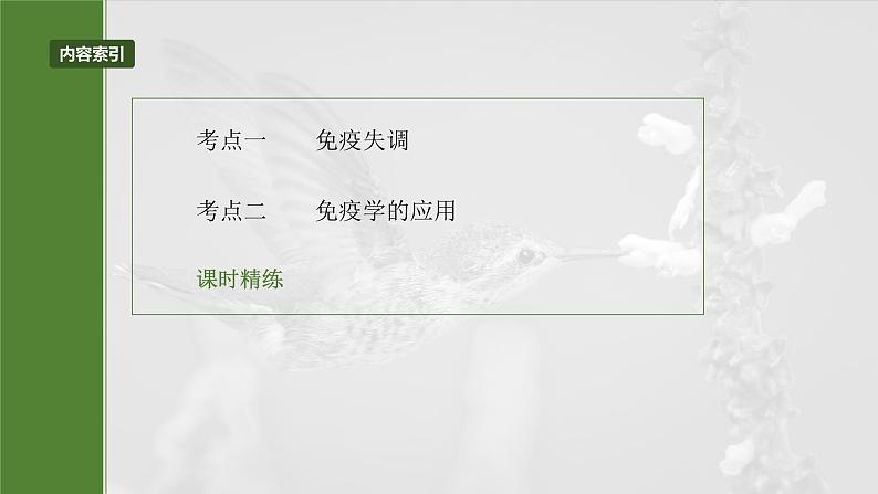 2025届高三一轮复习生物：免疫失调及免疫学的应用课件第3页