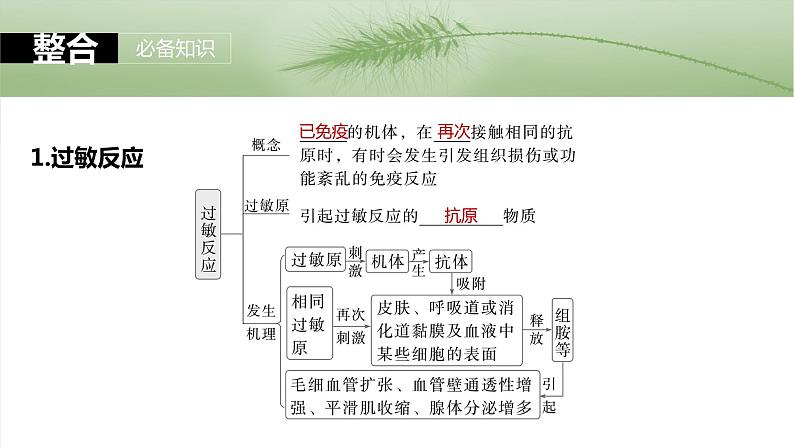 2025届高三一轮复习生物：免疫失调及免疫学的应用课件第5页