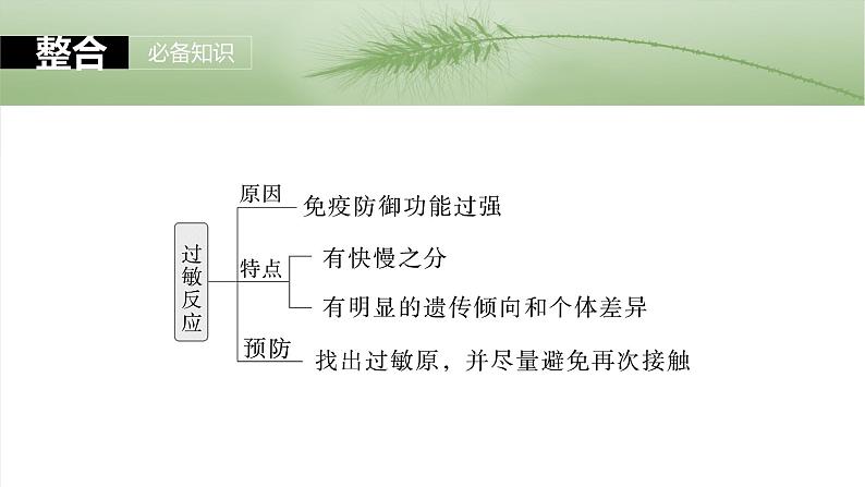 2025届高三一轮复习生物：免疫失调及免疫学的应用课件第6页