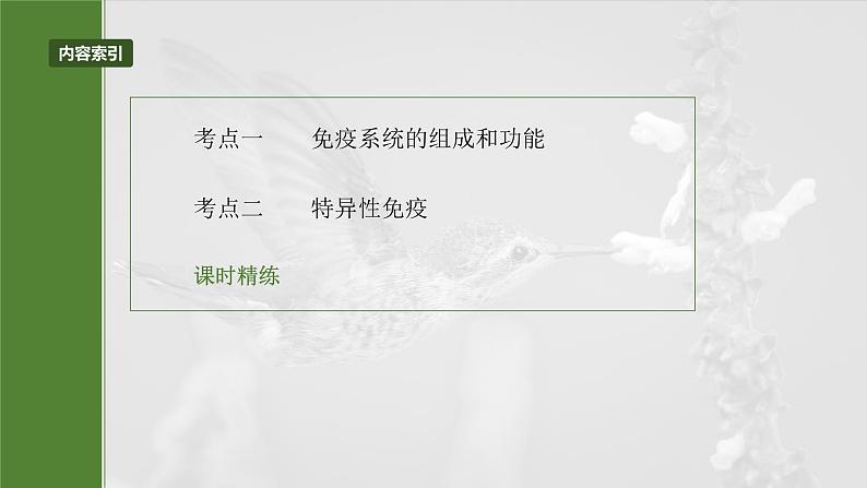 2025届高三一轮复习生物：免疫系统的组成、功能及特异性免疫课件03