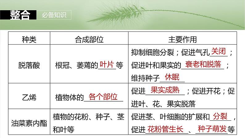 2025届高三一轮复习生物：其他植物激素课件第6页