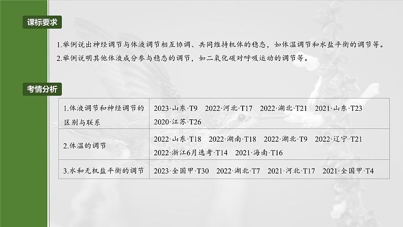 2025届高三一轮复习生物：体液调节与神经调节的关系课件02