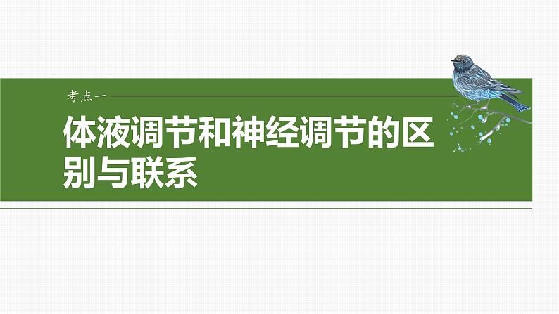 2025届高三一轮复习生物：体液调节与神经调节的关系课件04