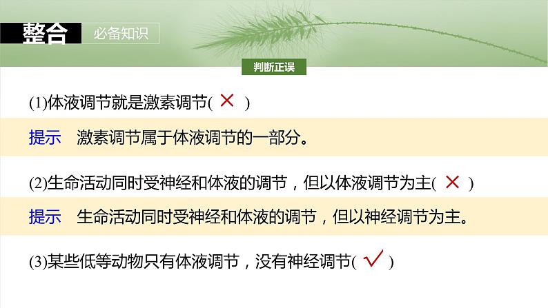 2025届高三一轮复习生物：体液调节与神经调节的关系课件08