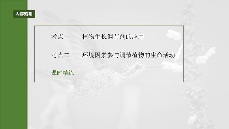 2025届高三一轮复习生物：植物生长调节剂的应用及环境因素参与调节植物的生命活动课件03