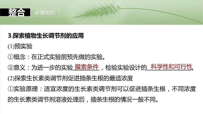 2025届高三一轮复习生物：植物生长调节剂的应用及环境因素参与调节植物的生命活动课件08