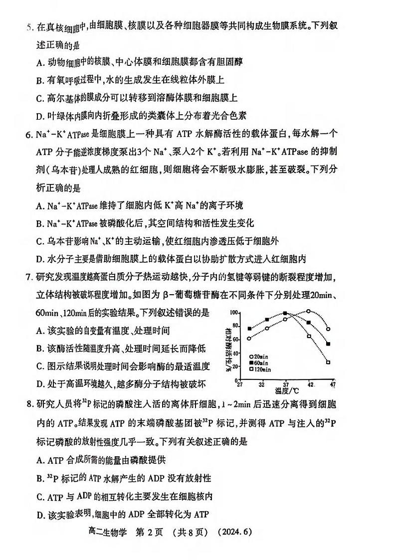 生物丨河南省洛阳市2025届新高三6月质量检测生物试卷及答案第2页