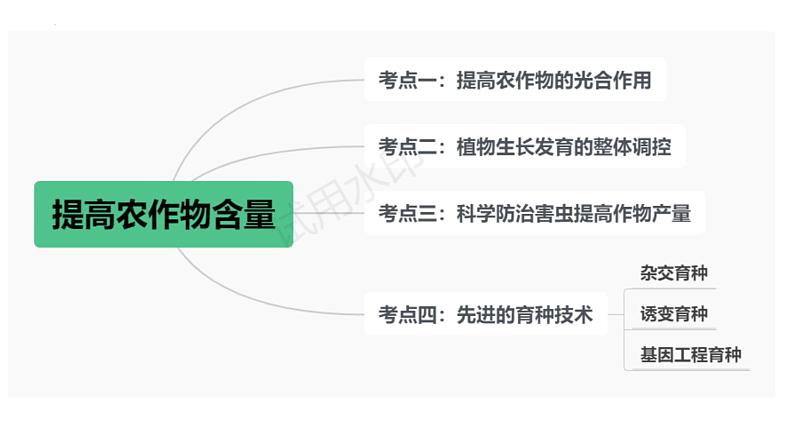 2024届高考生物二轮复习：微专题 提高农作物产量课件PPT第3页