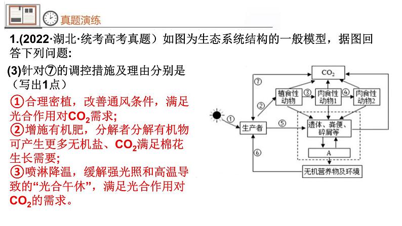 2024届高考生物二轮复习：微专题 提高农作物产量课件PPT第6页