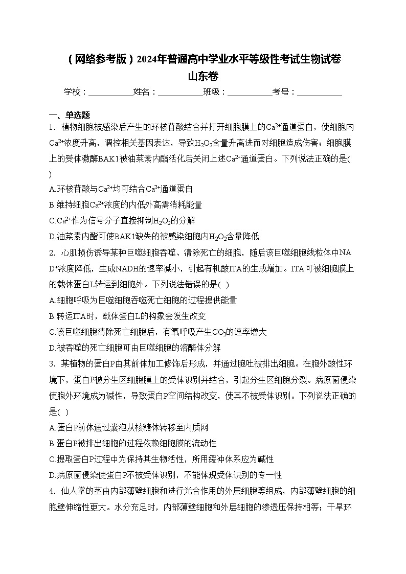 （网络参考版）2024年普通高中学业水平等级性考试生物试卷 山东卷(含答案)第1页