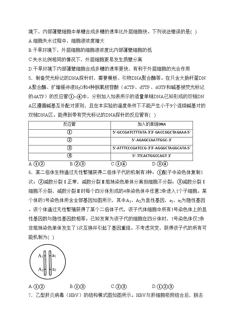 （网络参考版）2024年普通高中学业水平等级性考试生物试卷 山东卷(含答案)第2页