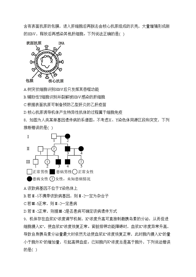 （网络参考版）2024年普通高中学业水平等级性考试生物试卷 山东卷(含答案)第3页