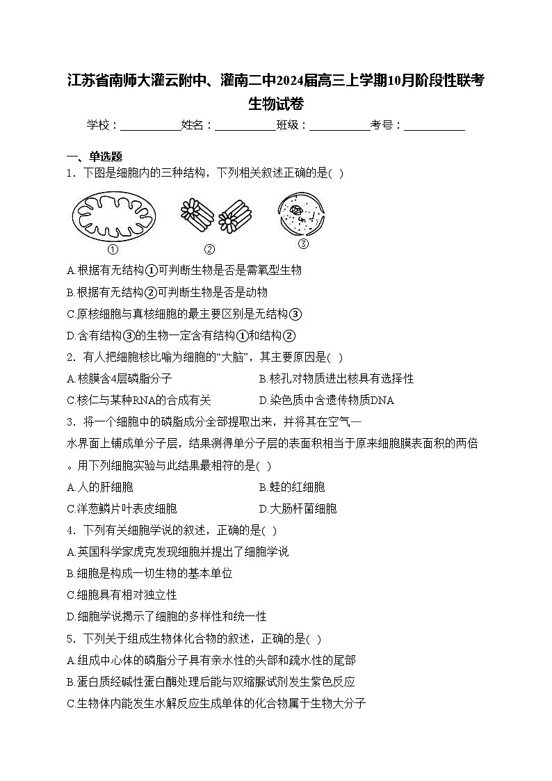 江苏省南师大灌云附中、灌南二中2024届高三上学期10月阶段性联考生物试卷(含答案)01