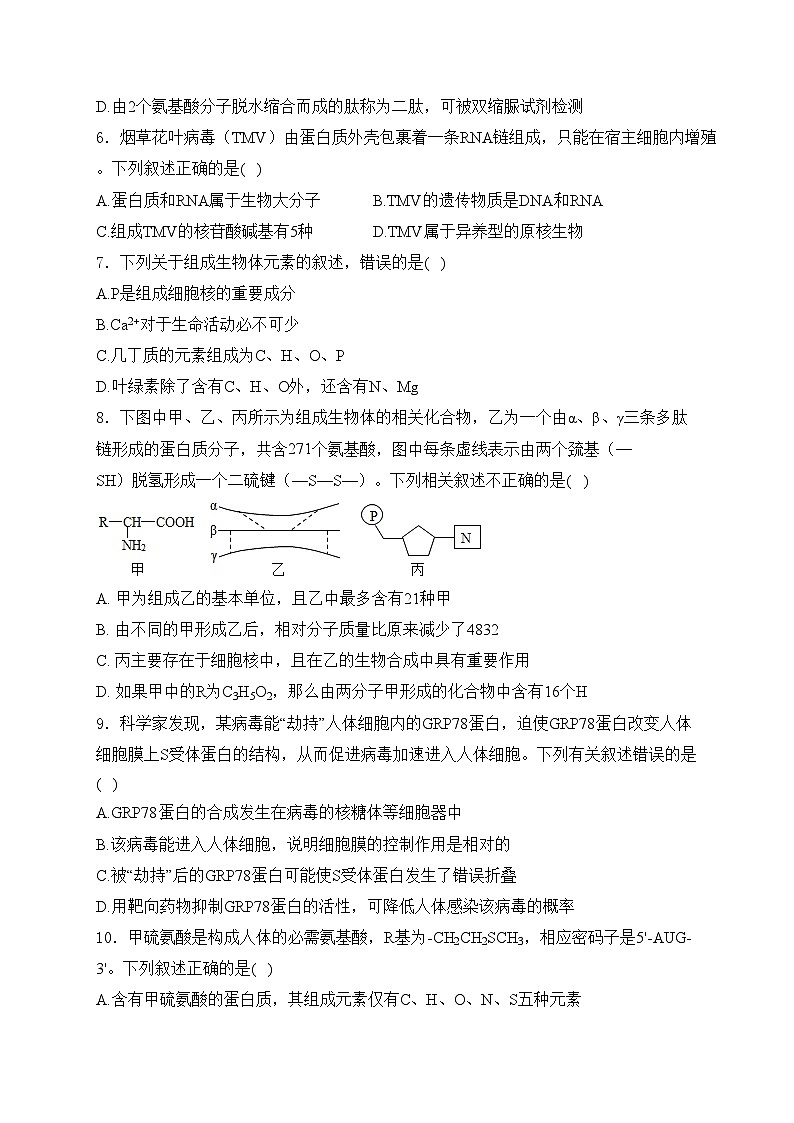 江苏省南师大灌云附中、灌南二中2024届高三上学期10月阶段性联考生物试卷(含答案)02