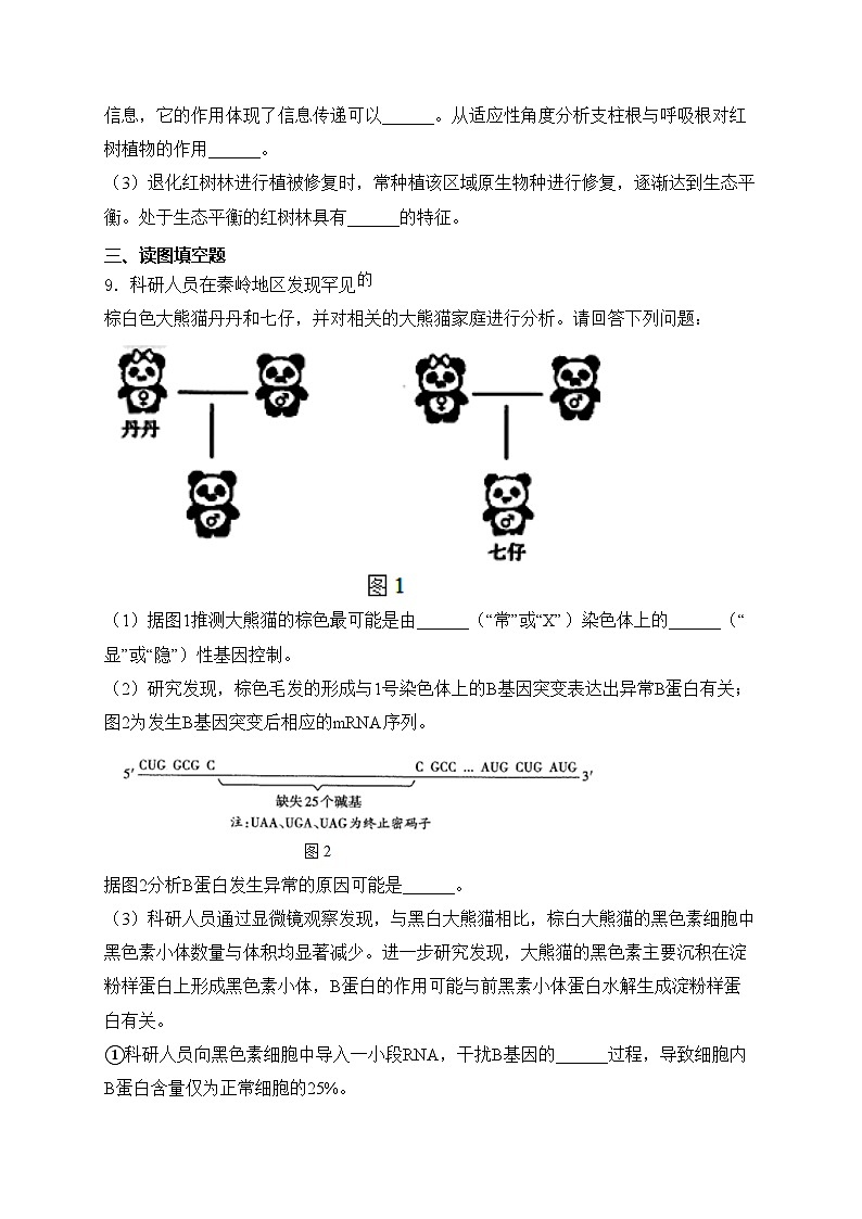 山西省太原市2024届高三下学期模拟考试（三）生物试卷(含答案)03