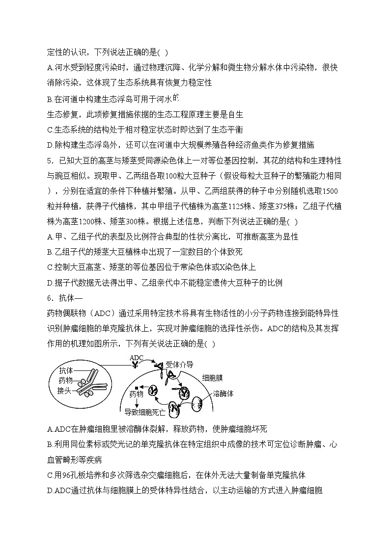 山西省太原市第五中学2024届高三下学期一模高中生物试卷(含答案)第2页