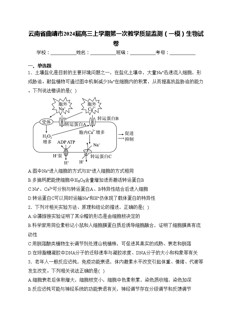 云南省曲靖市2024届高三上学期第一次教学质量监测（一模）生物试卷(含答案)01