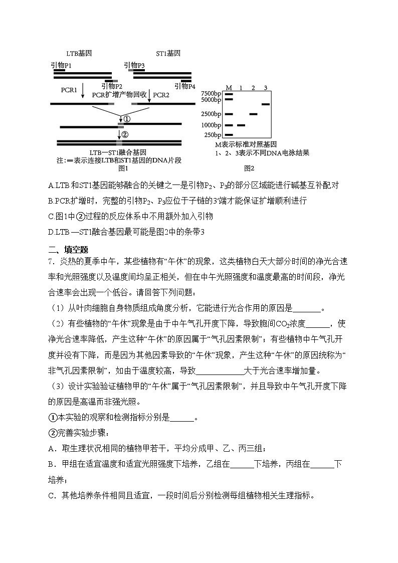 云南省曲靖市2024届高三上学期第一次教学质量监测（一模）生物试卷(含答案)03