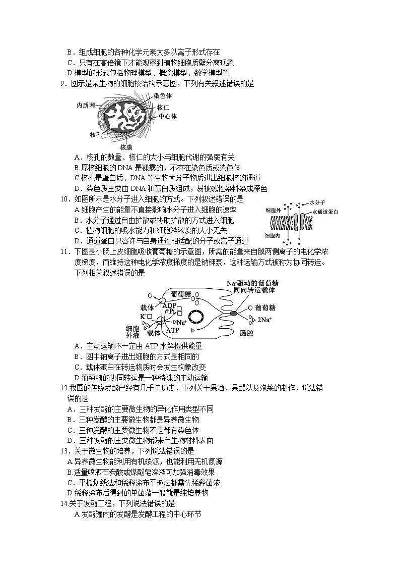 四川省成都市蓉城名校2023-2024学年高二下学期期末联考生物试题02