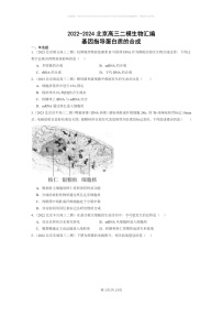 [生物]2022～2024北京高三二模生物试题分类汇编：基因指导蛋白质的合成