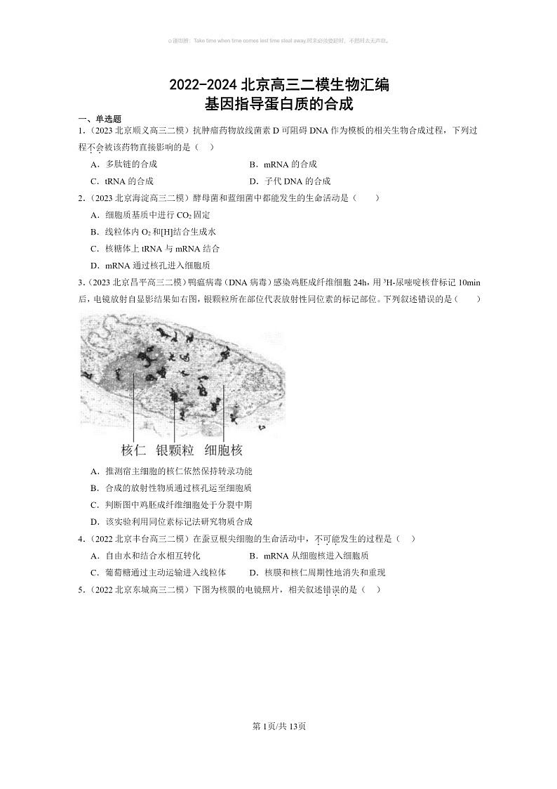 [生物]2022～2024北京高三二模生物试题分类汇编：基因指导蛋白质的合成第1页