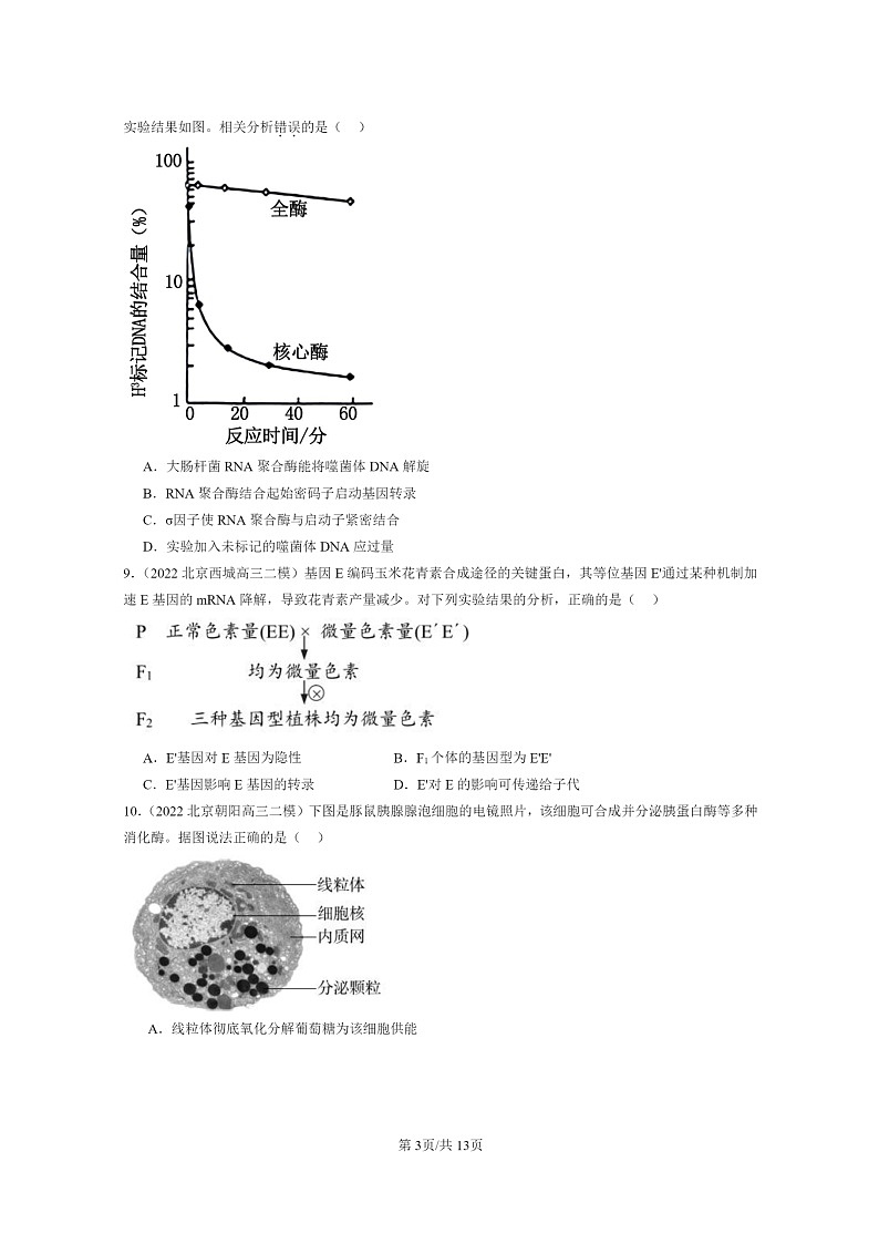 [生物]2022～2024北京高三二模生物试题分类汇编：基因指导蛋白质的合成第3页