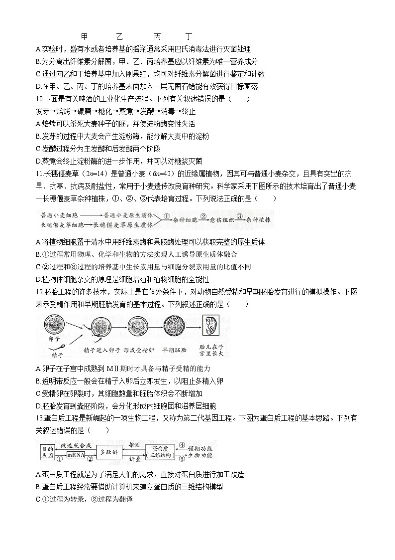 2024辽宁省部分学校高二下学期6月阶段考试生物含答案第3页