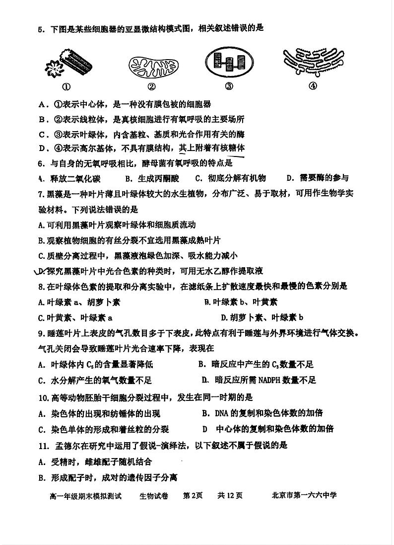 2024北京一六六中高一6月月考生物试题及答案第2页