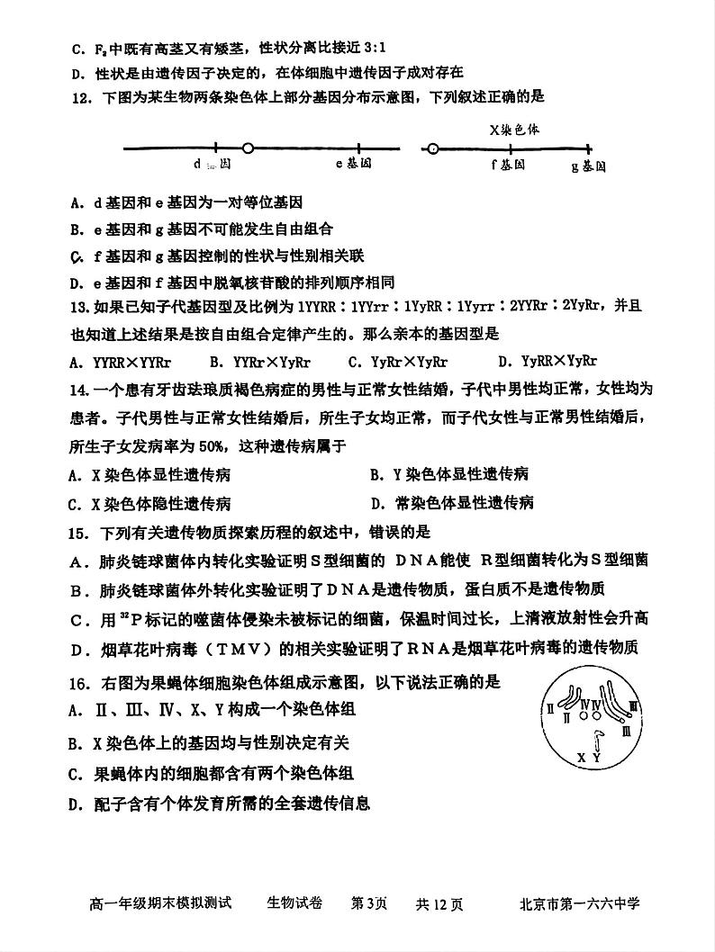 2024北京一六六中高一6月月考生物试题及答案第3页