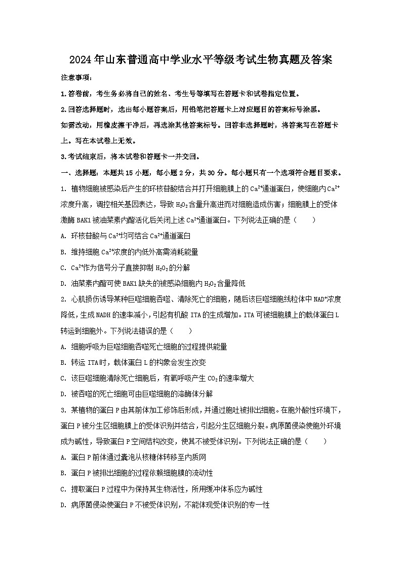 2024年山东普通高中真题学业水平等级考试生物真题及答案01