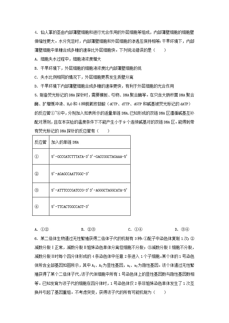 2024年山东普通高中真题学业水平等级考试生物真题及答案02