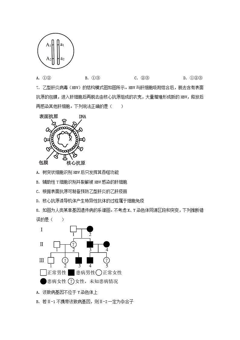 2024年山东普通高中真题学业水平等级考试生物真题及答案03