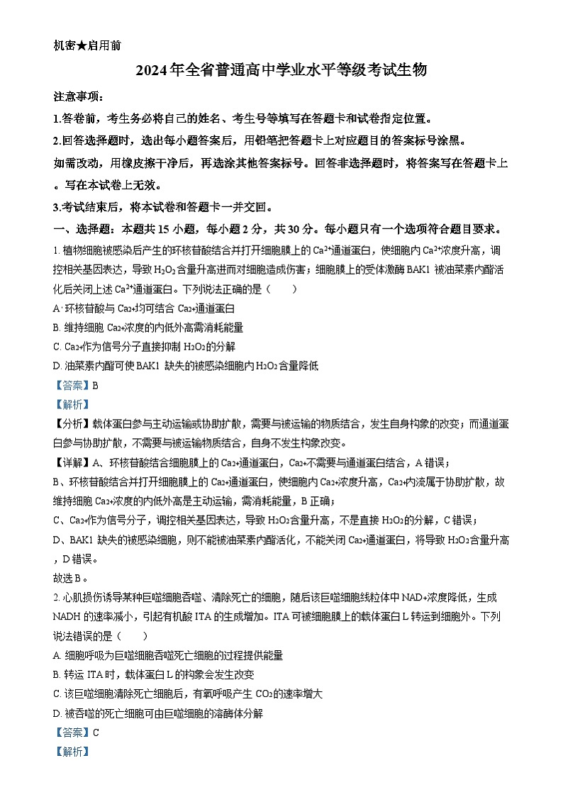 2024年高考真题——生物试卷（山东卷）解析版01