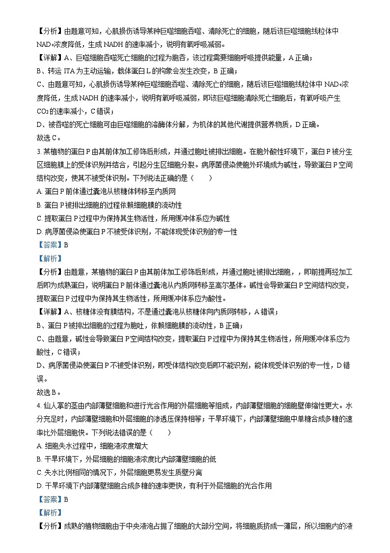 2024年高考真题——生物试卷（山东卷）解析版02