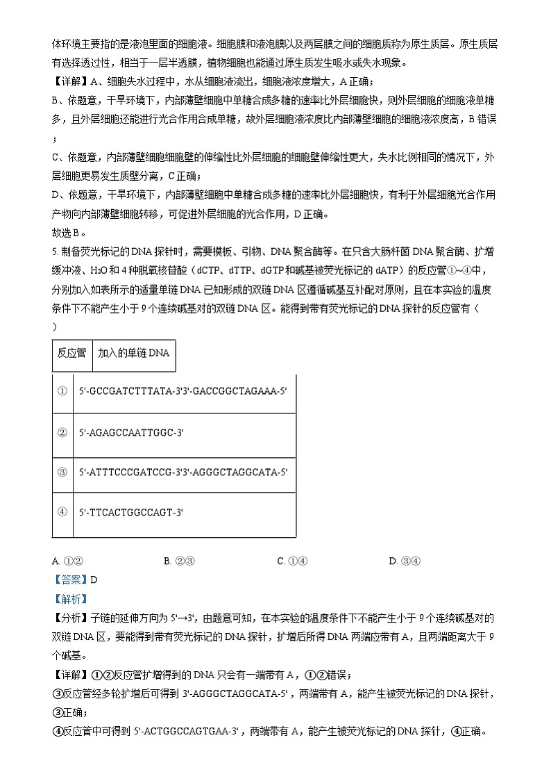 2024年高考真题——生物试卷（山东卷）解析版03