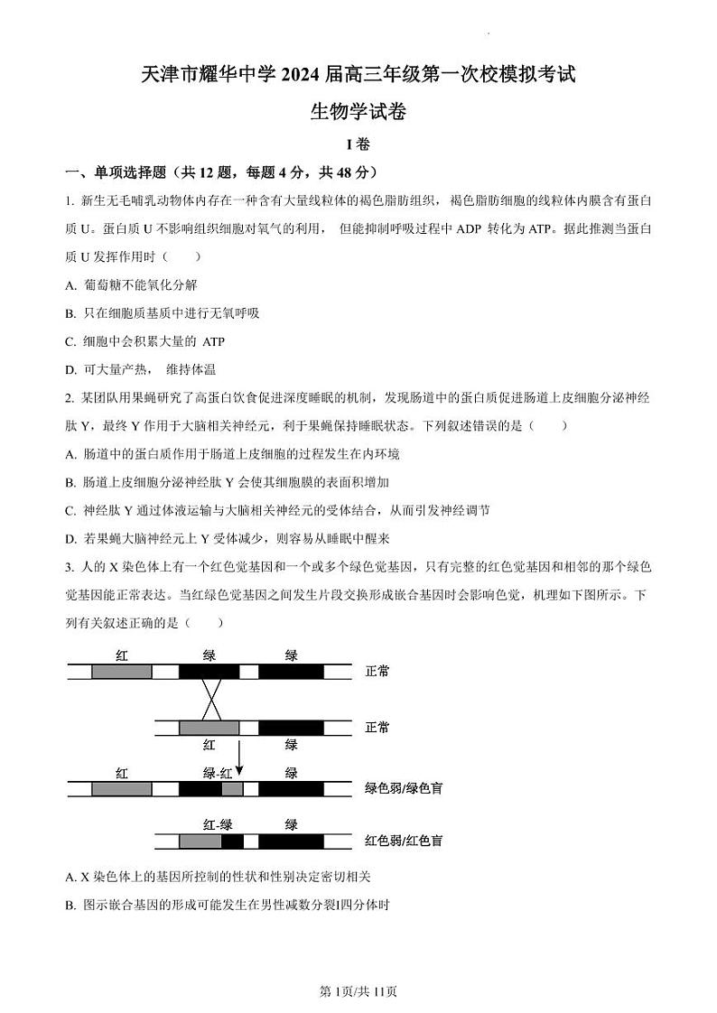 2024届天津市耀华中学高考一模生物试卷【含答案】01