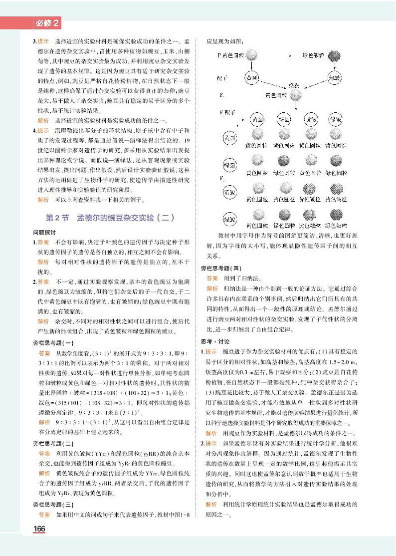 高中生物必修第2册参考答案第2页