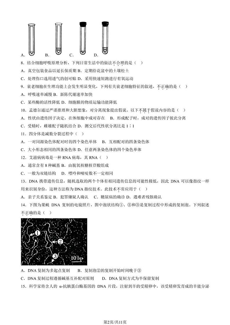 2024北京理工大附中高一6月月考生物试题及答案第2页